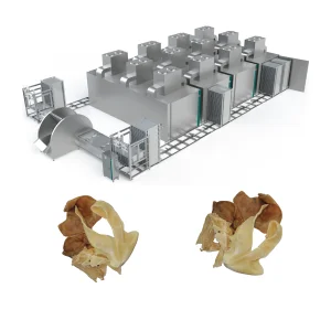 Dehydration Processing Line