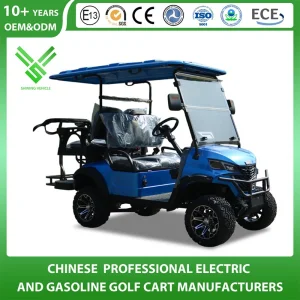 China Golf Cart Manufacturer 246 Seater Lithium Electric Power