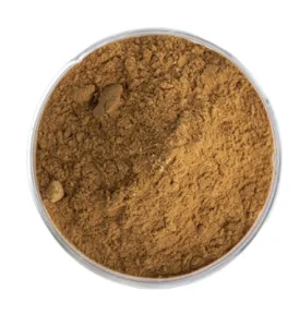 Natural Plant-based Preservatives Rich in Antioxidant Rosemary Extract for Cosmetics and Health Supplements