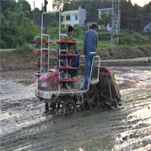 Transplantador de arroz cultivador de seis filas