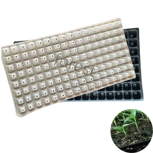 Seedling Tray
