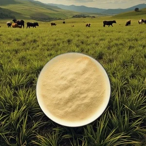 Feed Grade Amino Acids