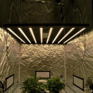 600W LED Grow Light
