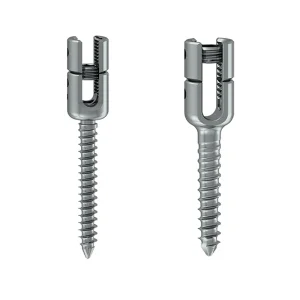 Posterior Fixation