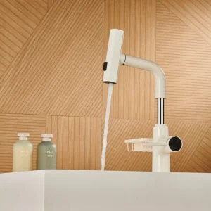 Pull-out Adjustable Faucet