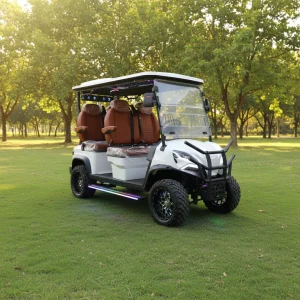 Smart Controller White Electric Golf Cart