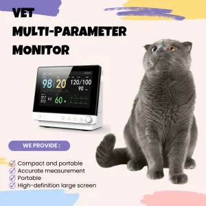 Patient Monitor