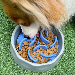 Custom Portable 2 In 1 Pet Feeding Mat Bowl