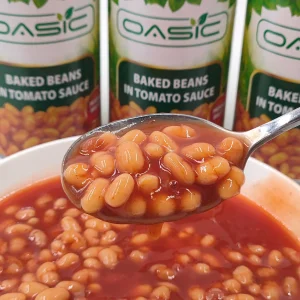 Frijoles horneados enlatados de alta calidad en salsa de tomate al por mayor
