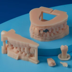 Cheap OEM SLA SLS 3D Printing Services for Dental Gum Models