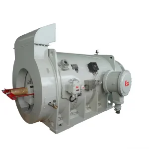 Ybbpx Series High Voltage Explosion Proof Three Phase Motor for Mining