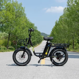 Electric Cargo Bike 750W