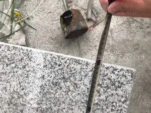 Cheap Grey Sardo Granite G602 China Natural Stone Tiles/Slabs/Paving/Cobblestone