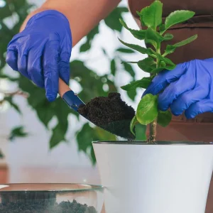 3mil Disposable Nitrile Gloves for Gardening, Textured Fingertips for Non-Slip Grip, Waterproof &amp; Powder-Free, Cobalt Blue