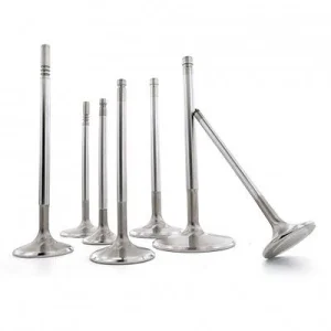 Customized High Quality Performance Racing RPM Gold Titanium Coated Intake Exhaust Engine Valve OEM