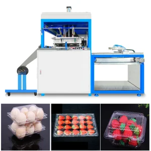 Thermoforming Machine for Making Pet pp Bops Ps Pvc Products Take Away Food Box Supplier Strawberry Tableware