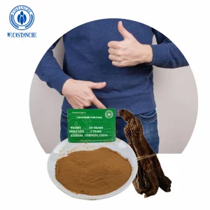 High Echinacoside Cistanche Tubulosa Extract Powder, Natural Antioxidant Herb for Renal Wellness &amp; Energy Support