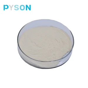 Bifidobacterium Bifidum Powder