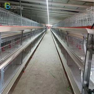 H Type A Type Production Flexibility Poultry Battery Farm
