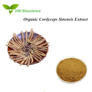 Kosher Halal Certified 100% Natural Cordycepin Organic Cordyceps Sinensis Extract