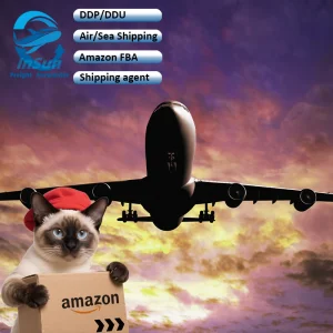 DDP/DDU/CIF Air Shipping Service From China to Sweden Czech Spain