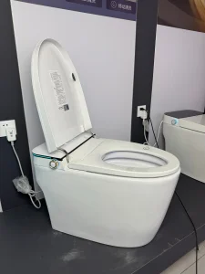 Smart Tankless Intelligent Toilet for Bathroom with Floor Mounted