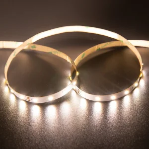 Dimmable Flexible LED Rope Light with Dual Color Temperature