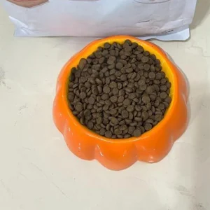 Gentle Nutrition Cat Food