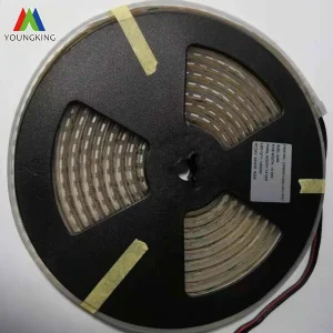 Colorful 120LEDs/M 5050RGB LED Strip IP67 24V 12mmpcb LED Strip Lighting