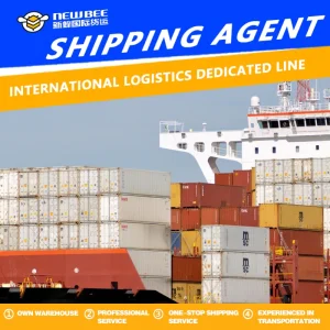 USA Sea Freight