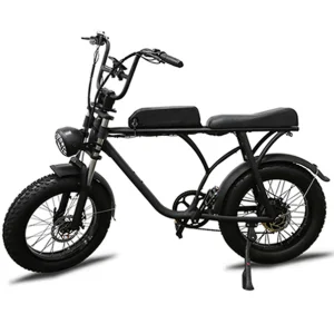 Brushless 20*4.0 Gravity Shengzhen, China Commuter Drit Electric E Bike with Factory Price