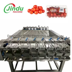Linha de Embalagem de Clamshell de Tomate Cereja
