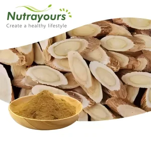 Astragalus Root Extract