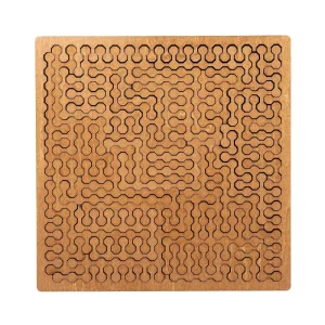 Stress Relieving Wooden Puzzle for Children and Adults Puzzle Section with Advanced Logical and Geometric Thinking Puzzle Toy