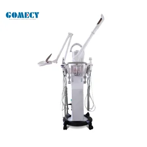 Facial Robot