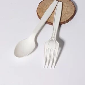 Disposable Cutlery Set
