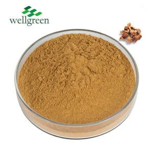 Free Sample Aqaricus Blazei Mushroom Extract Natural Agaricus Bblazei Extract