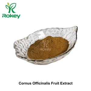 Premium Herbal Extract for Wellness Support Cornus Officinalis Fruit Extract Powder
