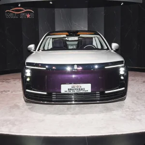 China's Luxury Sedan: Maextro S800 Executive Edition 4-Seater a Stable, Comfortable, Long-Range Full-Size Sedan