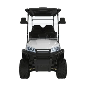 Wholesale LSV Options