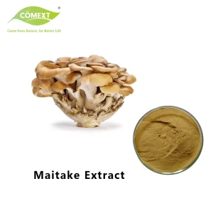 ISO Certified Maitake