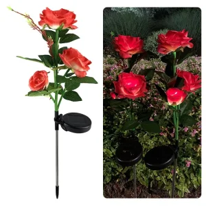Flores de Rosa Alimentadas Apcitl