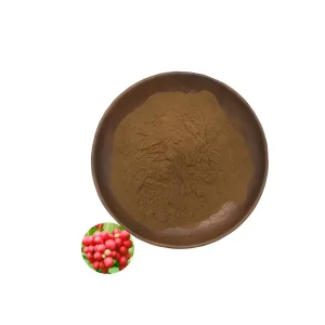 Best Premium Schisandra Chinensis Berry Fruit Extract Standardized Schisandrins Powder