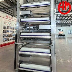 Easy Install Poultry Farming Layer Chicken Cage PP Manure Conveyor Belt Equipment
