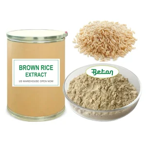 Food Grade Additive Hydrolyzed Organic Sprouted Brown Rice Extract Protein Powder 80 Percent