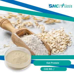 Natural Food Additive Nutritious Ingredient 99% Hydrolyzed Oat Protein