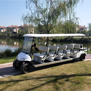 48/60/72V 4000/5000/7000W 12 Seats Lead-Acid/Lithium Battery Solar Panels Electric Golf Cart