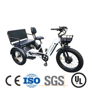 Cool 72V 3000W Cargo 3 Wheel EV Motorcycle Price