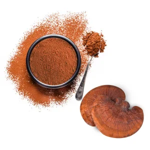Standardized Mushroom Powder Reishi Extract Powder and Ganoderma Lucidum for Comprehensive Care