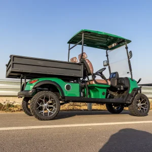 China 2-Seater Golf Cart Removable Dump Bed